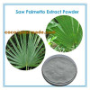 Healing Prostate and Stopping Hair Loss Fatty Acids Saw Palmetto Extract